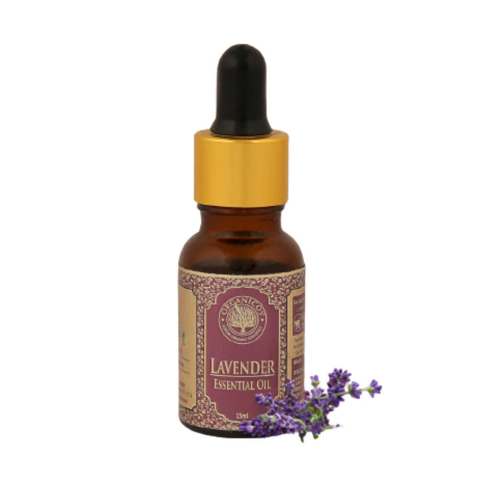 https://cdn.shopify.com/s/files/1/1857/6931/products/A3dN5ZZaok.jpg?v=1663827455