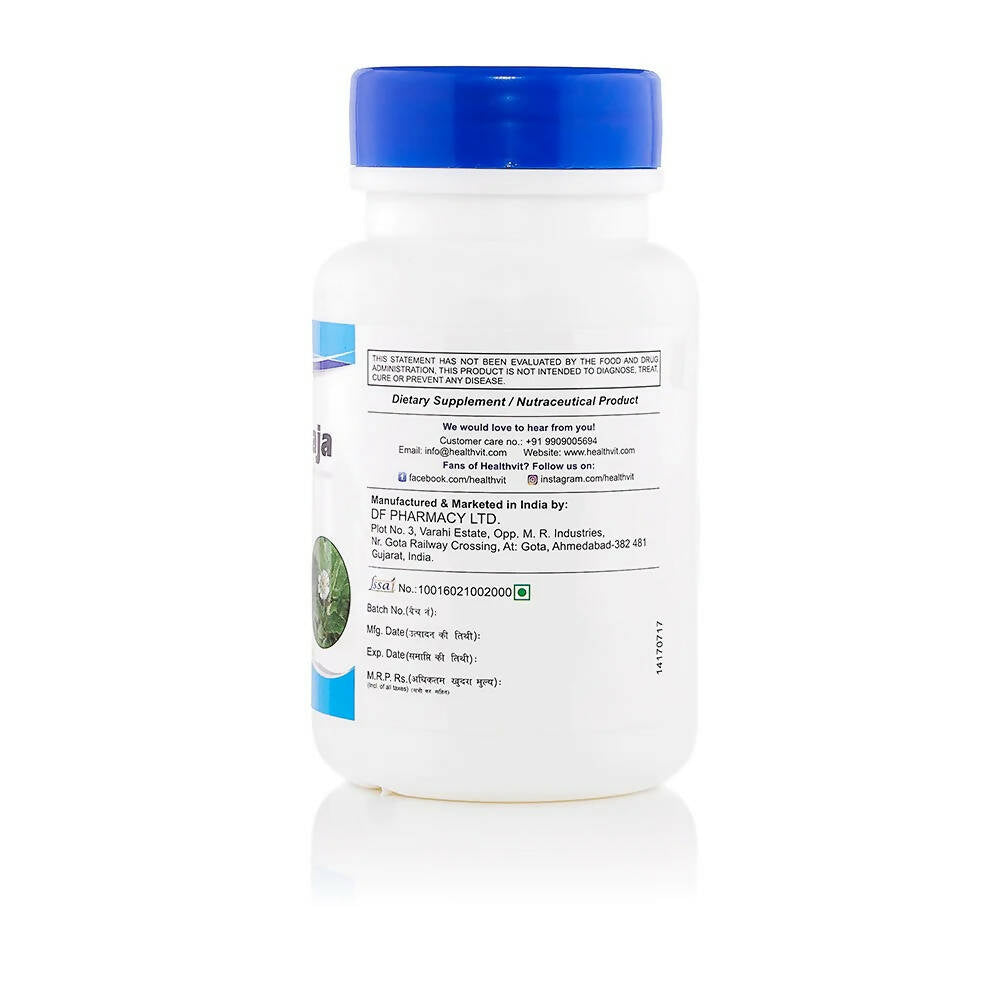 https://cdn.shopify.com/s/files/1/1857/6931/products/A88XNJfVDv.jpg?v=1669984185