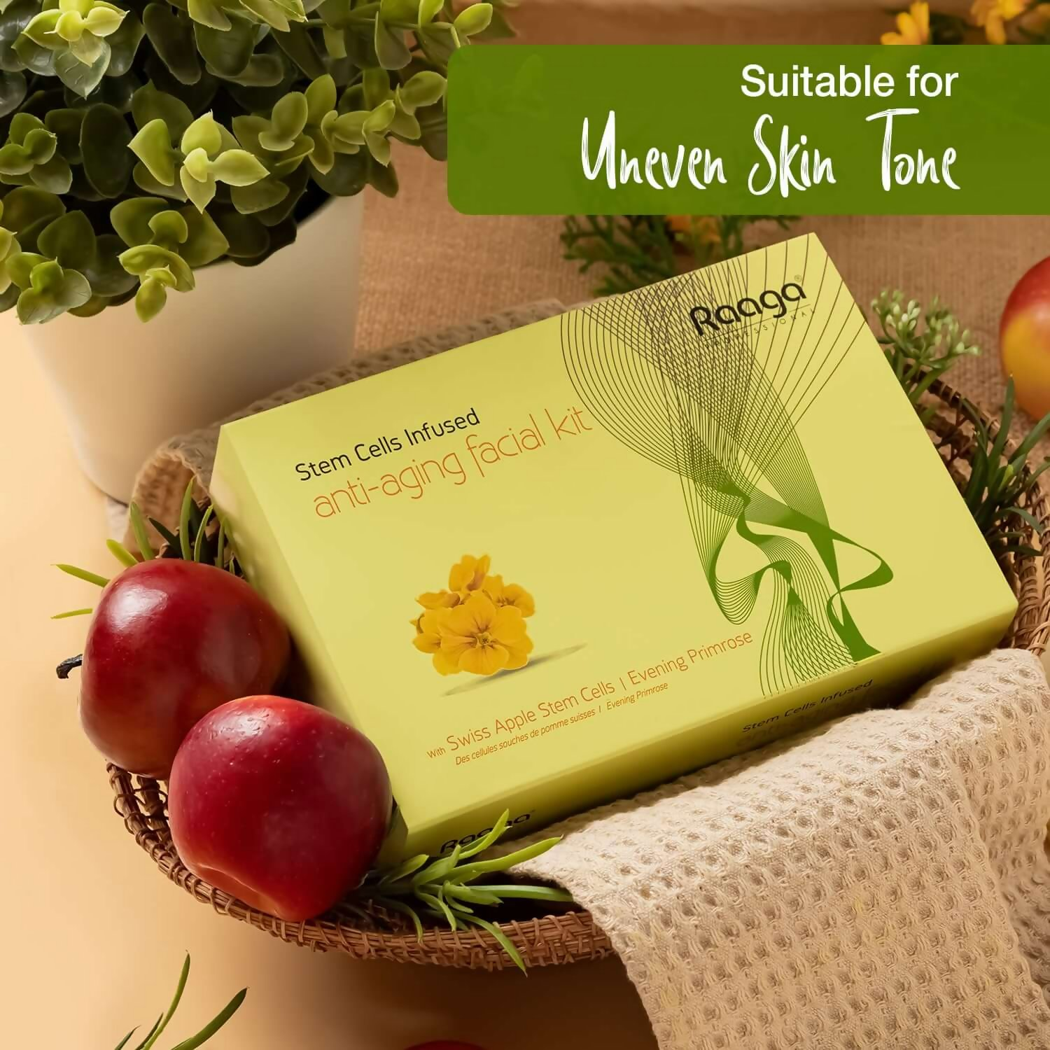 https://cdn.shopify.com/s/files/1/1857/6931/files/AA06zRXQ9O.png?v=1755770597
