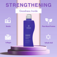 https://cdn.shopify.com/s/files/1/1857/6931/files/AAV5b6n5bp.png?v=1724410553