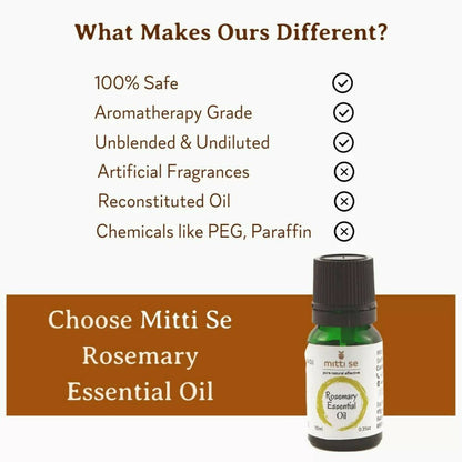https://cdn.shopify.com/s/files/1/1857/6931/products/AAhZ3pbjLQ.jpg?v=1670583343
