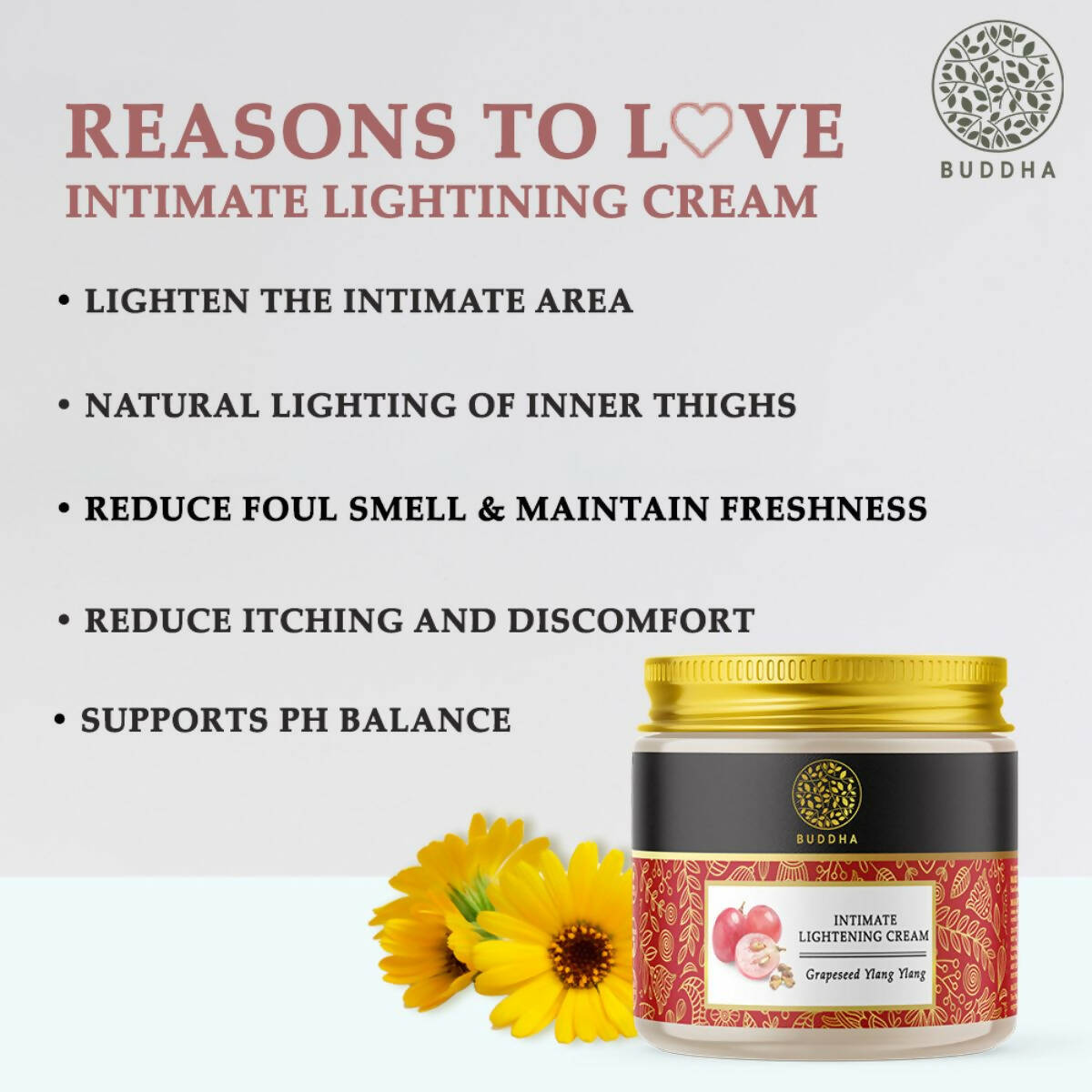 https://cdn.shopify.com/s/files/1/1857/6931/products/AApzJImmfH.jpg?v=1677502818
