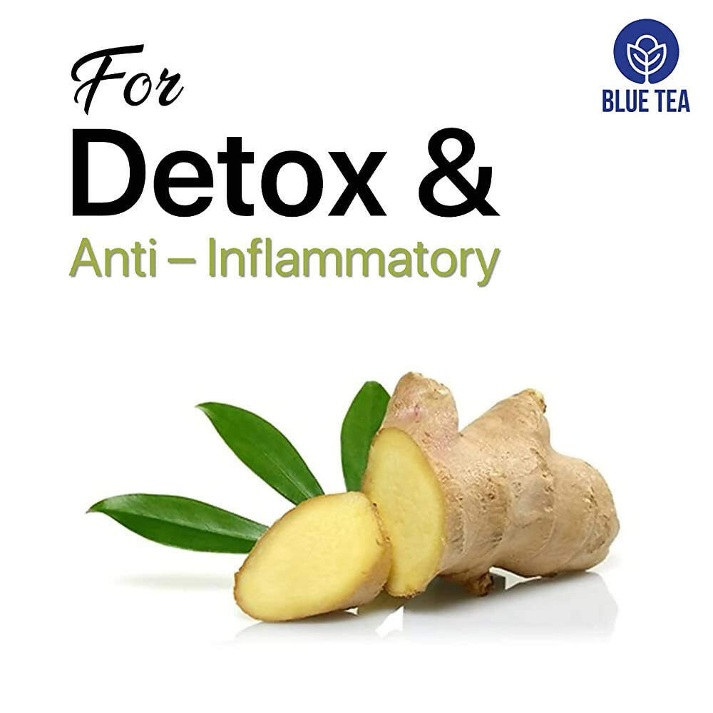 https://cdn.shopify.com/s/files/1/1857/6931/products/ABcm1Xe3wP.jpg?v=1667476235