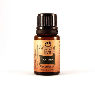 https://cdn.shopify.com/s/files/1/1857/6931/files/AE4Gi6Muat-856708.jpg?v=1736147459