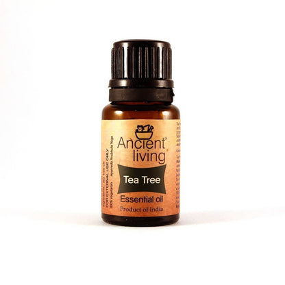 https://cdn.shopify.com/s/files/1/1857/6931/files/AE4Gi6Muat-856708.jpg?v=1736147459