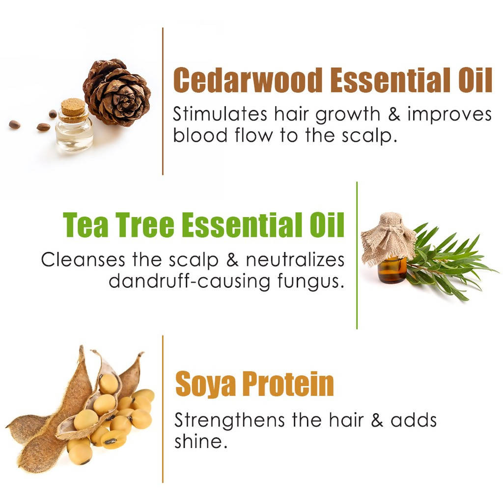 https://cdn.shopify.com/s/files/1/1857/6931/products/AInqwHcAM9.jpg?v=1630636386