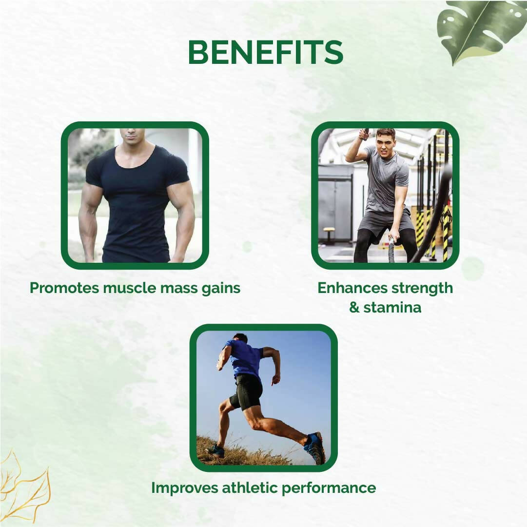 https://cdn.shopify.com/s/files/1/1857/6931/products/AJEgI7r1ib.jpg?v=1670491028