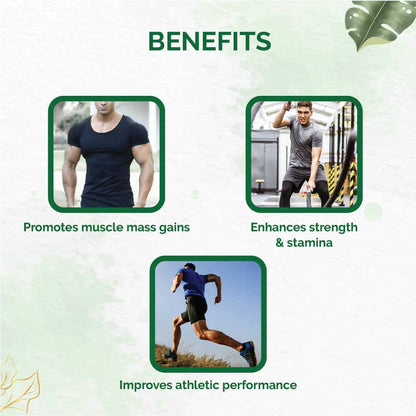 https://cdn.shopify.com/s/files/1/1857/6931/products/AJEgI7r1ib.jpg?v=1670491028