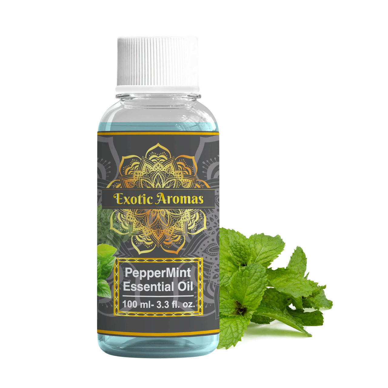 https://cdn.shopify.com/s/files/1/1857/6931/products/AJl8X1Scpq.jpg?v=1762382533