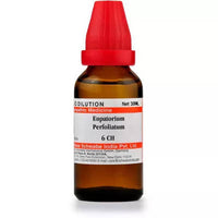 https://cdn.shopify.com/s/files/1/1857/6931/products/AJx9CLjq07.jpg?v=1655105142