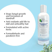 https://cdn.shopify.com/s/files/1/1857/6931/files/AKJ3k4dDBj-320826.jpg?v=1736149938