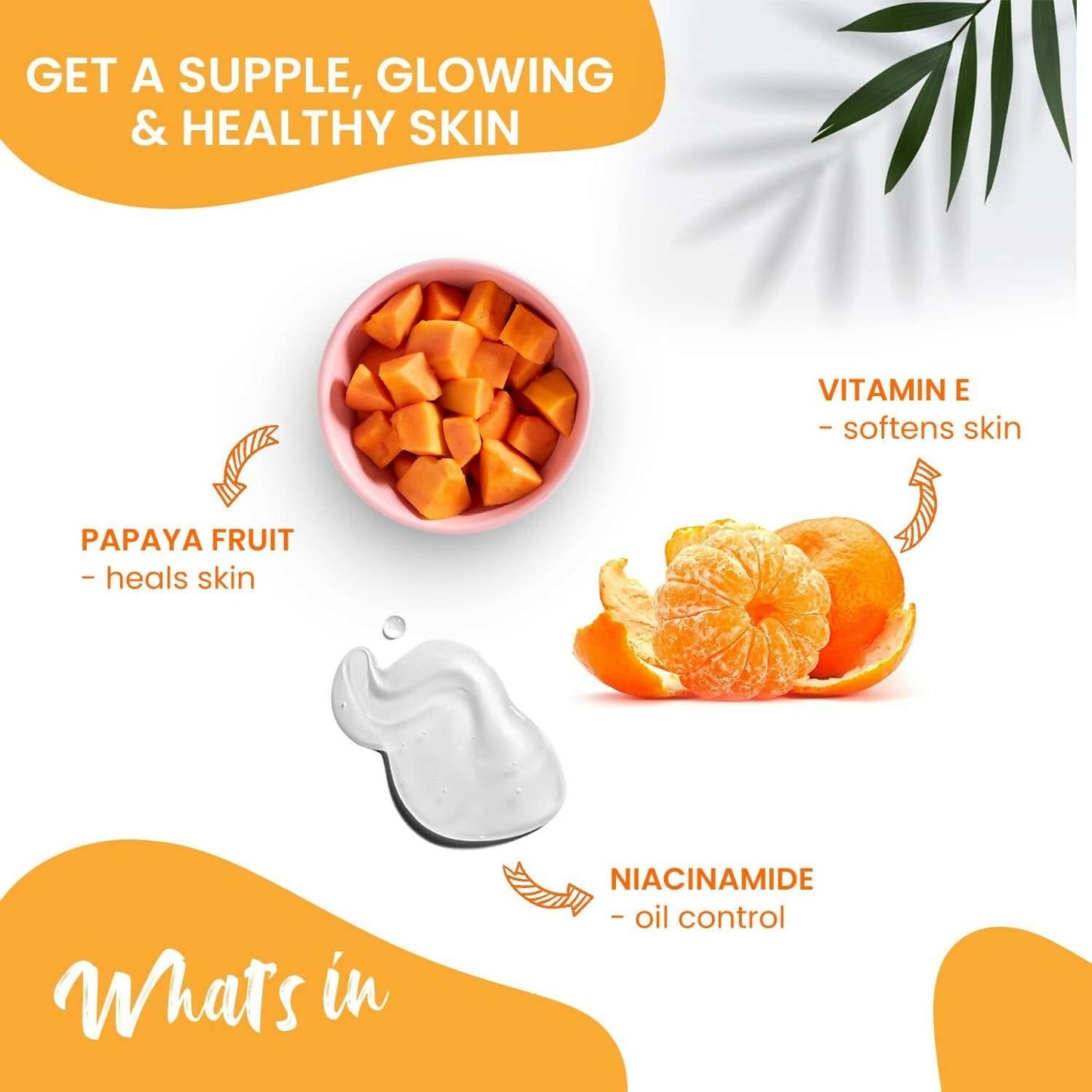 https://cdn.shopify.com/s/files/1/1857/6931/products/AMNkRx0vX4.jpg?v=1680871302