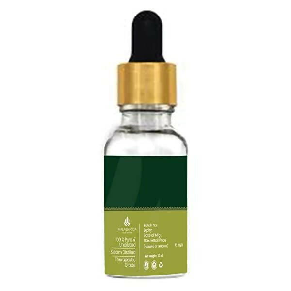 https://cdn.shopify.com/s/files/1/1857/6931/products/AMmNze8jrL.jpg?v=1667644633