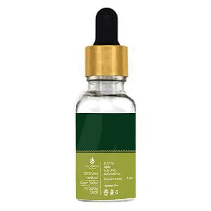 https://cdn.shopify.com/s/files/1/1857/6931/products/AMmNze8jrL.jpg?v=1667644633