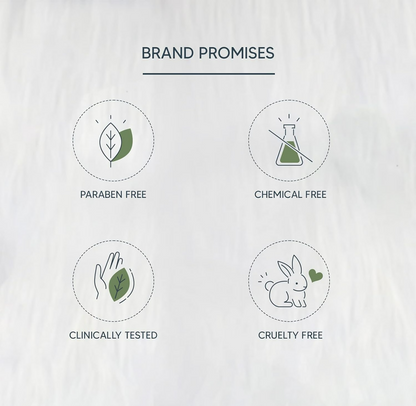 https://cdn.shopify.com/s/files/1/1857/6931/files/AN7HnWND7z.png?v=1720524409