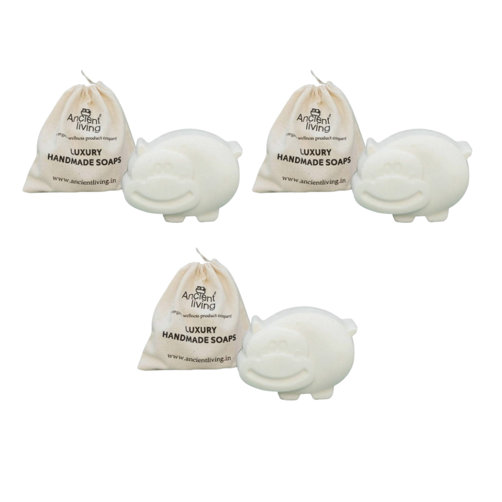 https://cdn.shopify.com/s/files/1/1857/6931/files/ANCIE-GENIE-18165-01_ec9c8cc9-3637-43fa-b14d-e2d236dc786a.png?v=1756823701