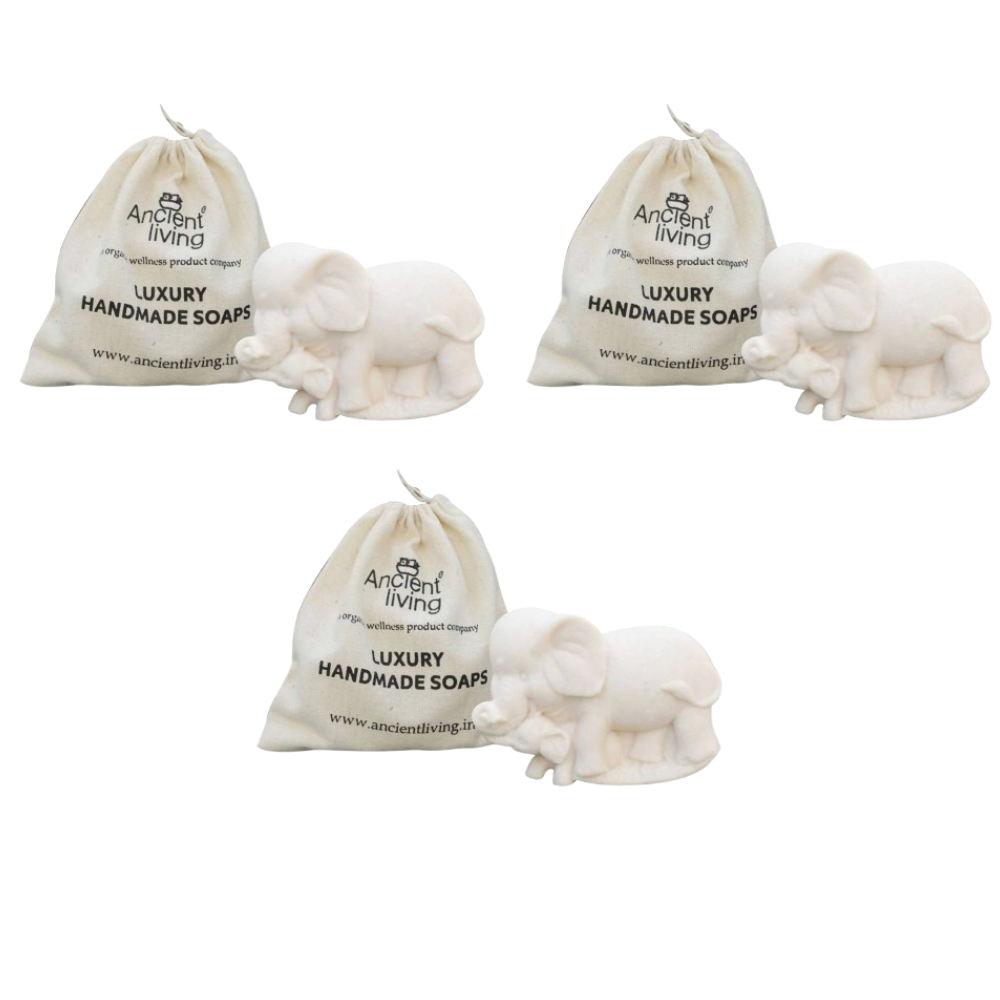 https://cdn.shopify.com/s/files/1/1857/6931/files/ANCIE-GENIE-40403-01_fb664f7a-626e-407a-9cab-43dc310f243a.png?v=1756823704