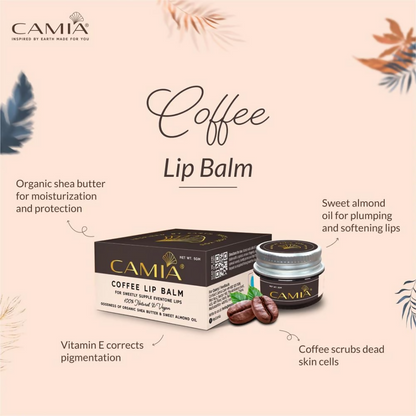 https://cdn.shopify.com/s/files/1/1857/6931/files/AOV4f3qqJH.png?v=1729517650