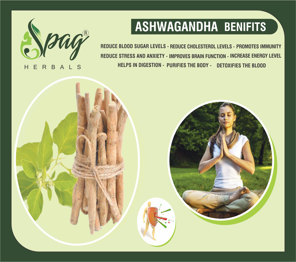 https://cdn.shopify.com/s/files/1/1857/6931/products/ASHWAGANDHA.png?v=1681994805