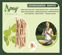 https://cdn.shopify.com/s/files/1/1857/6931/products/ASHWAGANDHA.png?v=1681994805