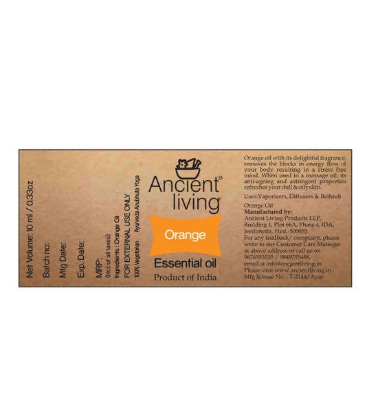https://cdn.shopify.com/s/files/1/1857/6931/files/ASdYhlbj1U-764733.jpg?v=1736147458