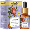 https://cdn.shopify.com/s/files/1/1857/6931/products/AT787ggvhg.jpg?v=1762282190