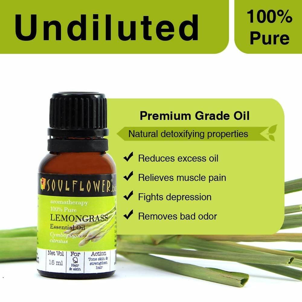 https://cdn.shopify.com/s/files/1/1857/6931/products/ATCaPbXd2E.jpg?v=1614911245