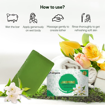 https://cdn.shopify.com/s/files/1/1857/6931/files/AV4b1KaW6F.png?v=1718861734