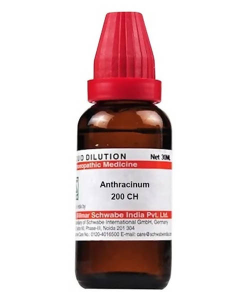 https://cdn.shopify.com/s/files/1/1857/6931/products/AXYDyyto8W.jpg?v=1640865715
