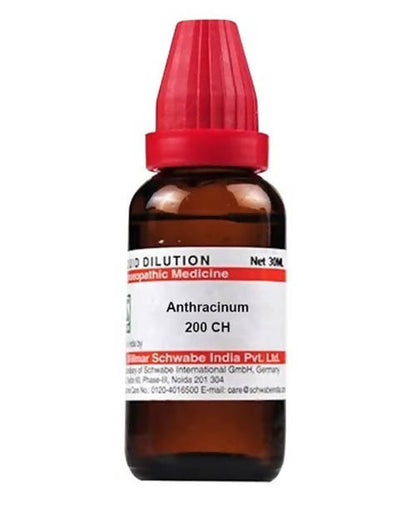 https://cdn.shopify.com/s/files/1/1857/6931/products/AXYDyyto8W.jpg?v=1640865715