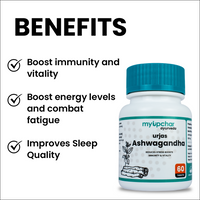 https://cdn.shopify.com/s/files/1/1857/6931/products/AXb27i9j5F.png?v=1700827552