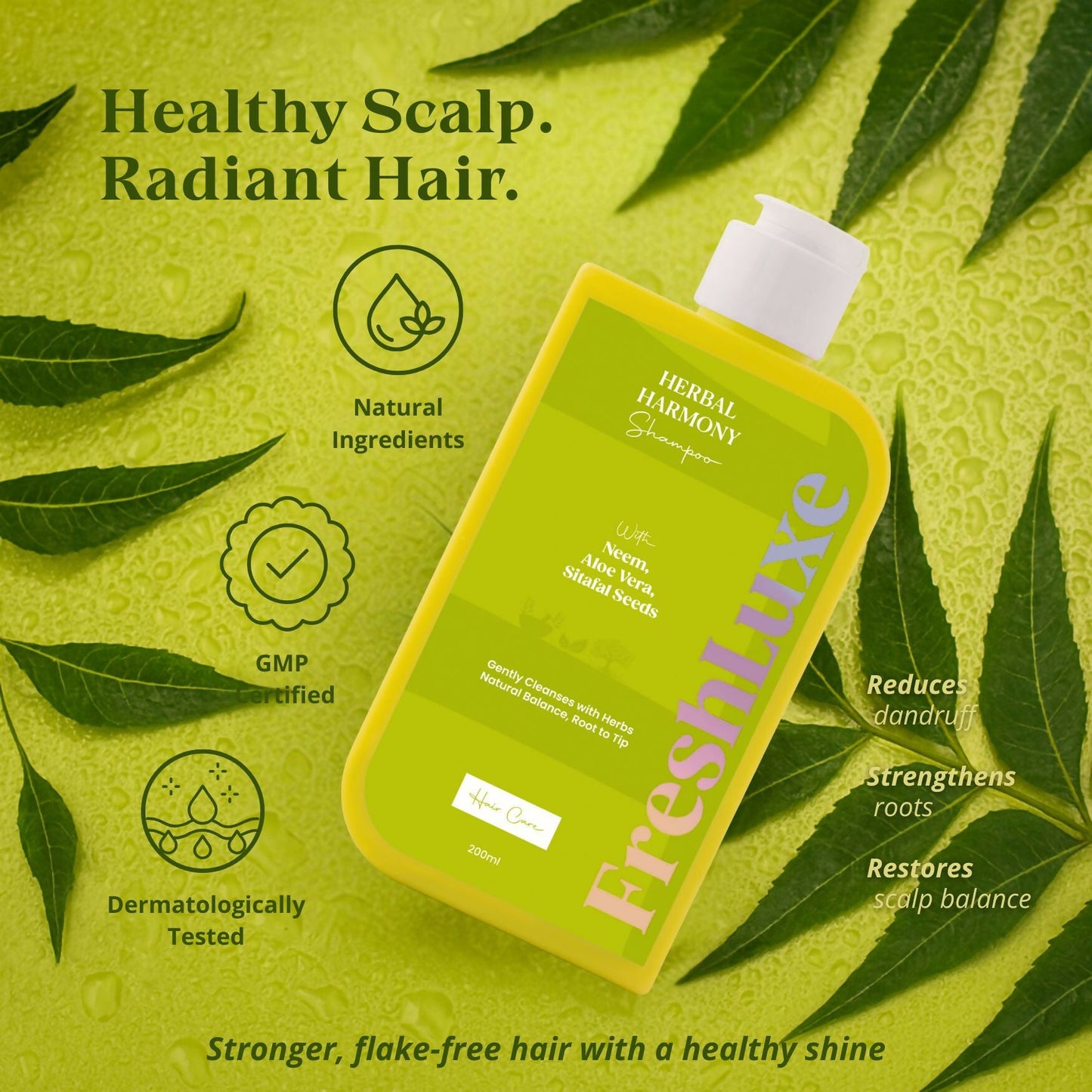 https://cdn.shopify.com/s/files/1/1857/6931/files/AYfAJ1yMRd.jpg?v=1759316648