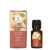 https://cdn.shopify.com/s/files/1/1857/6931/products/Abznnjj4ZB.jpg?v=1658579629
