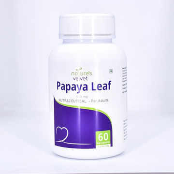 https://cdn.shopify.com/s/files/1/1857/6931/files/Add_a_heading_2_3c856443-f1d7-4741-80dc-2561c964ccb4.png?v=1753449807