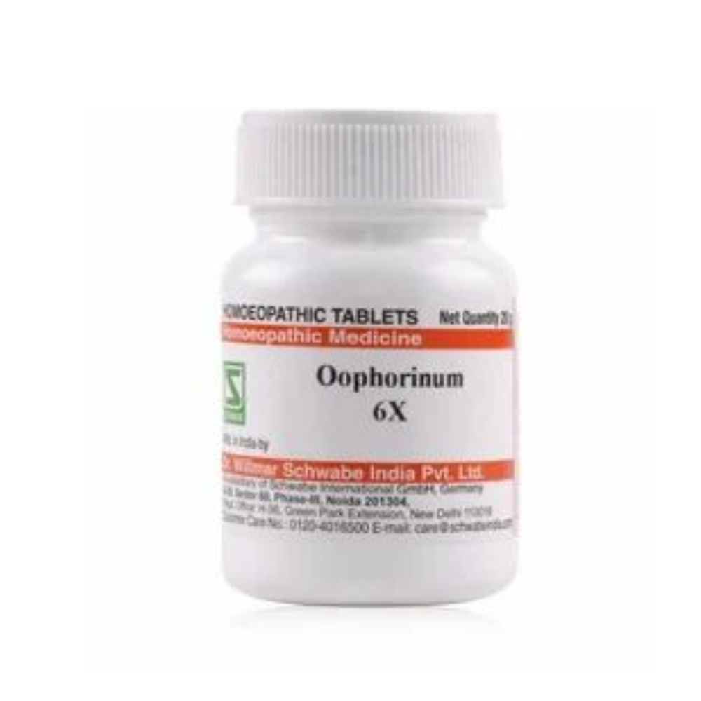 https://cdn.shopify.com/s/files/1/1857/6931/files/Addaheading_35.png?v=1703932712