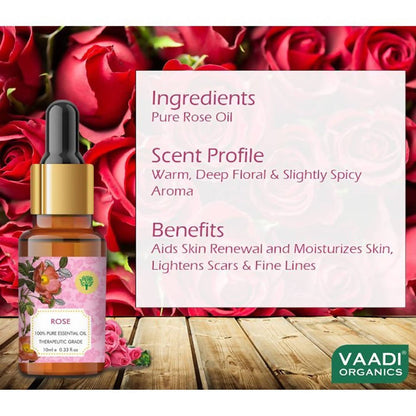 https://cdn.shopify.com/s/files/1/1857/6931/products/AduhpRfTxJ.jpg?v=1617935581