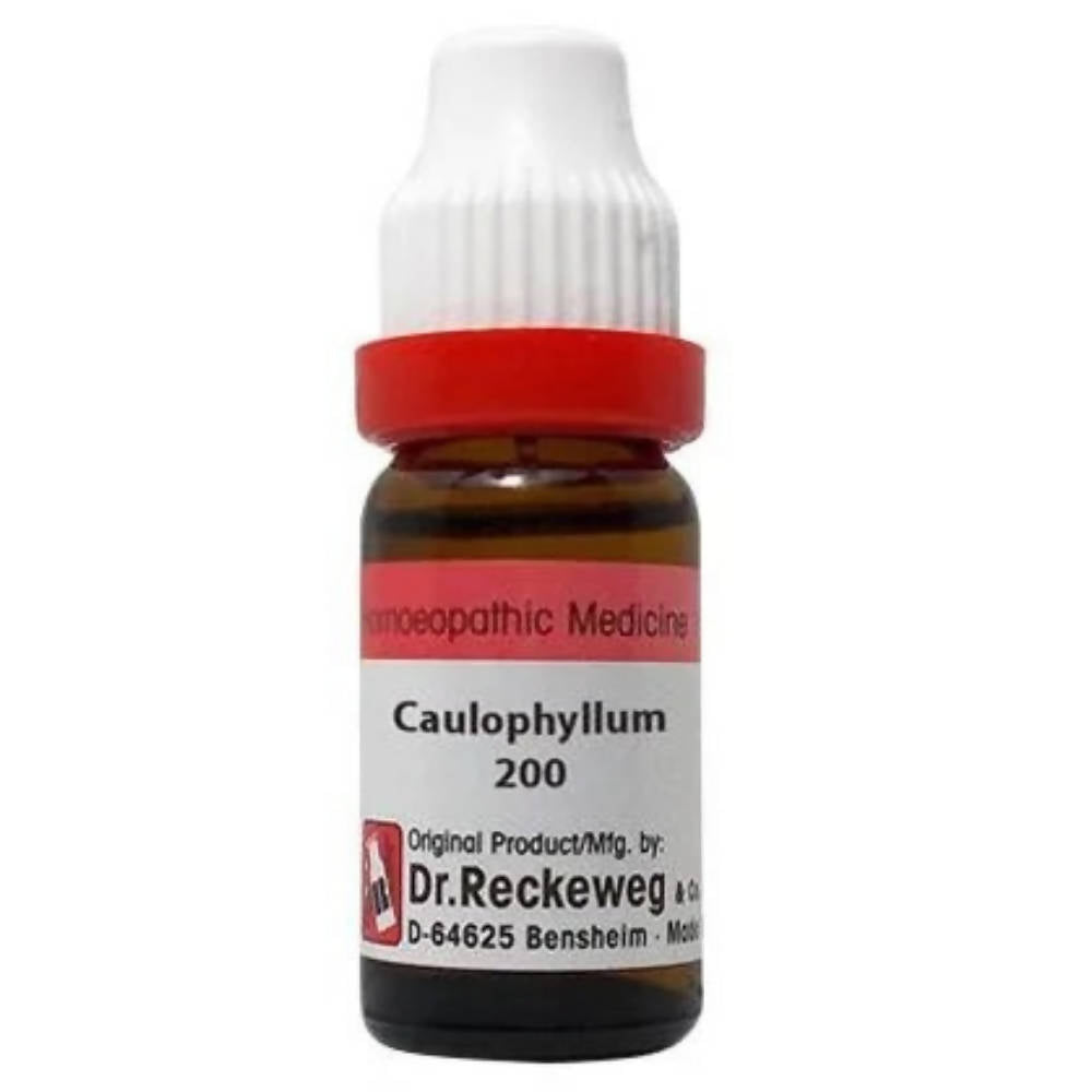 https://cdn.shopify.com/s/files/1/1857/6931/products/Ae2Xp6EmPg.jpg?v=1657177657