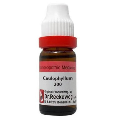 https://cdn.shopify.com/s/files/1/1857/6931/products/Ae2Xp6EmPg.jpg?v=1657177657