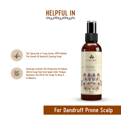 https://cdn.shopify.com/s/files/1/1857/6931/files/Ai1ZpTFZqx-454290.png?v=1736150412