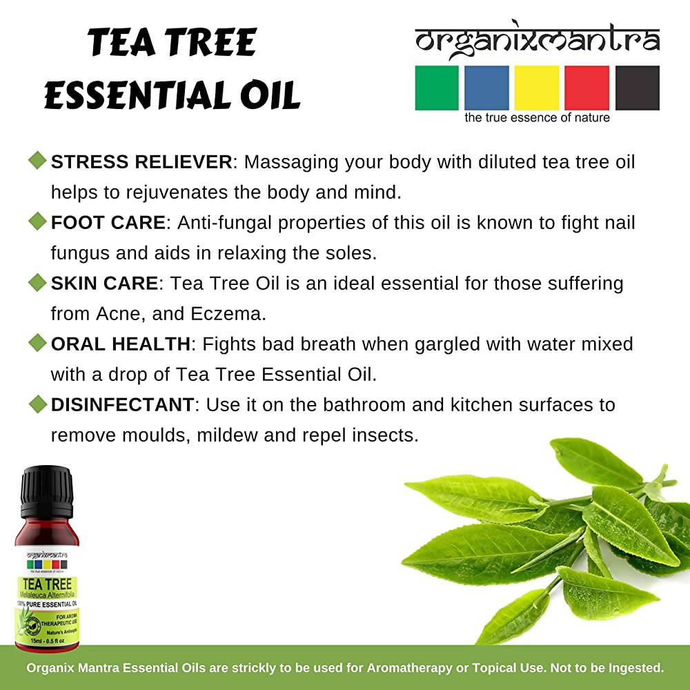 https://cdn.shopify.com/s/files/1/1857/6931/products/AigvgW7ccP.jpg?v=1653483126