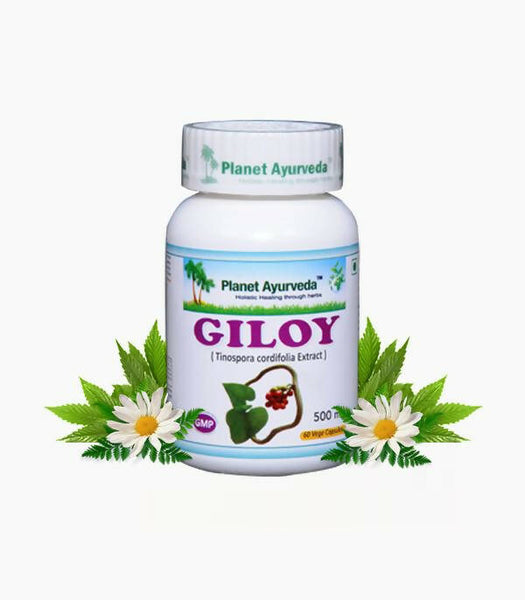 https://cdn.shopify.com/s/files/1/1857/6931/products/AjmkFs9hCp.jpg?v=1762350905