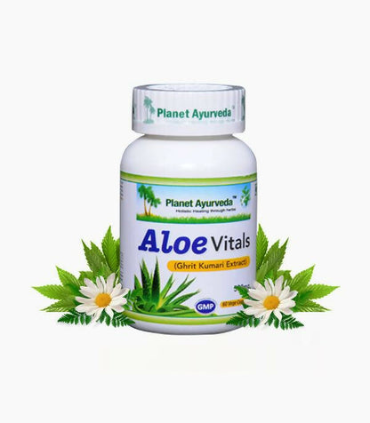 https://cdn.shopify.com/s/files/1/1857/6931/products/Akr5QoKfOM.jpg?v=1762350842
