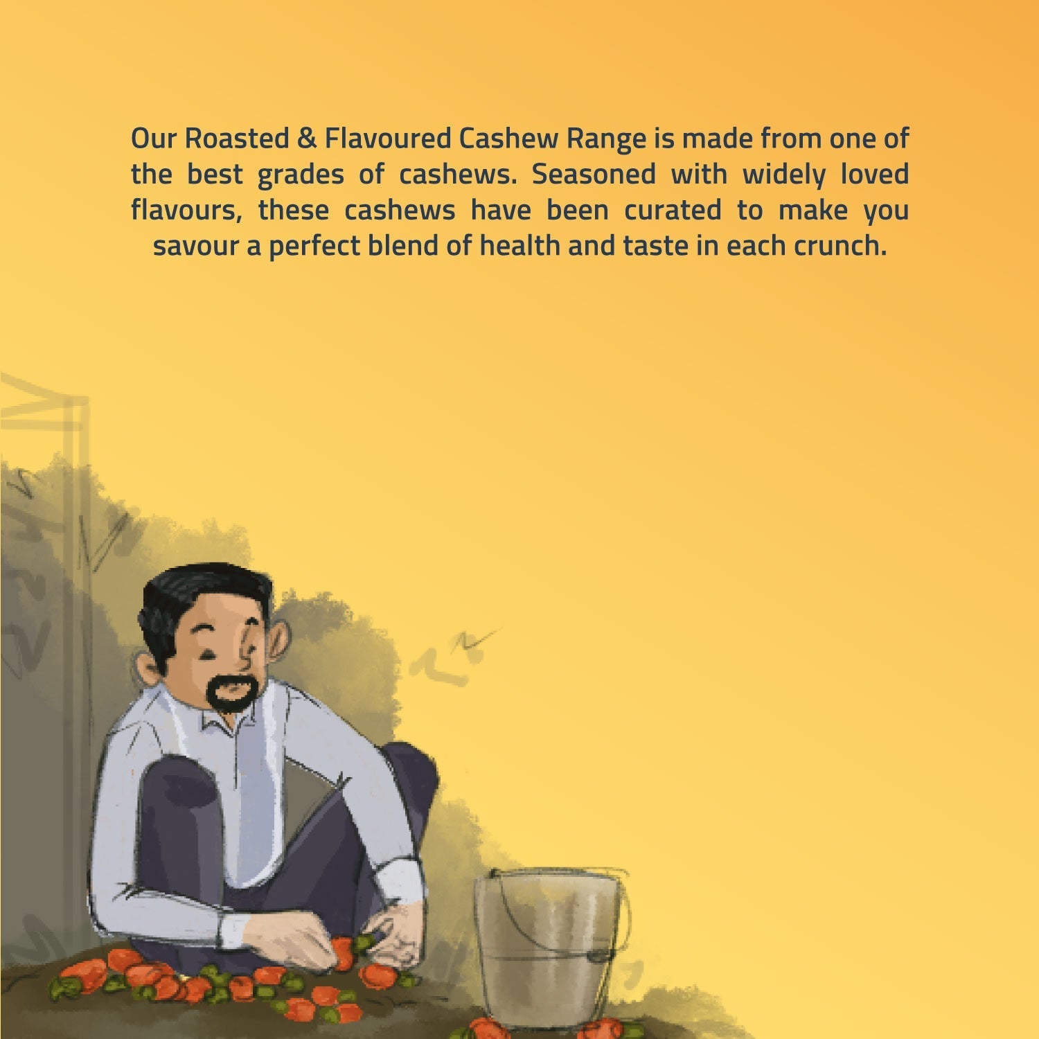 https://cdn.shopify.com/s/files/1/1857/6931/files/All-cashew-listing_f4874771-4898-4320-a2d8-34c90417fa8b.jpg?v=1769677132