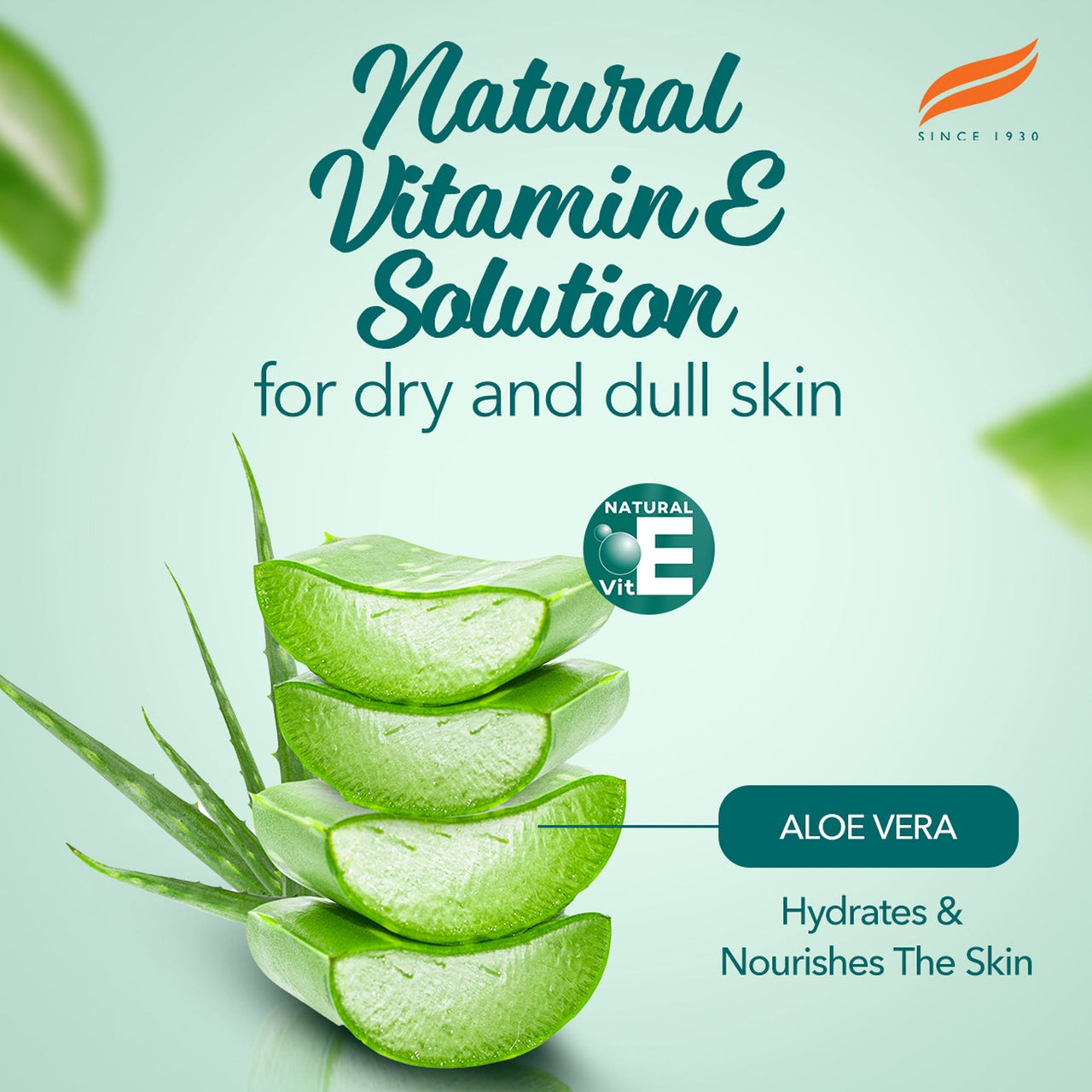 https://cdn.shopify.com/s/files/1/1857/6931/files/Aloe-Vera-Face-Wash_Catalogue-3_1800x1800_191ae83a-3aa6-45a9-8991-d4d52a284ec1.jpg?v=1742453253