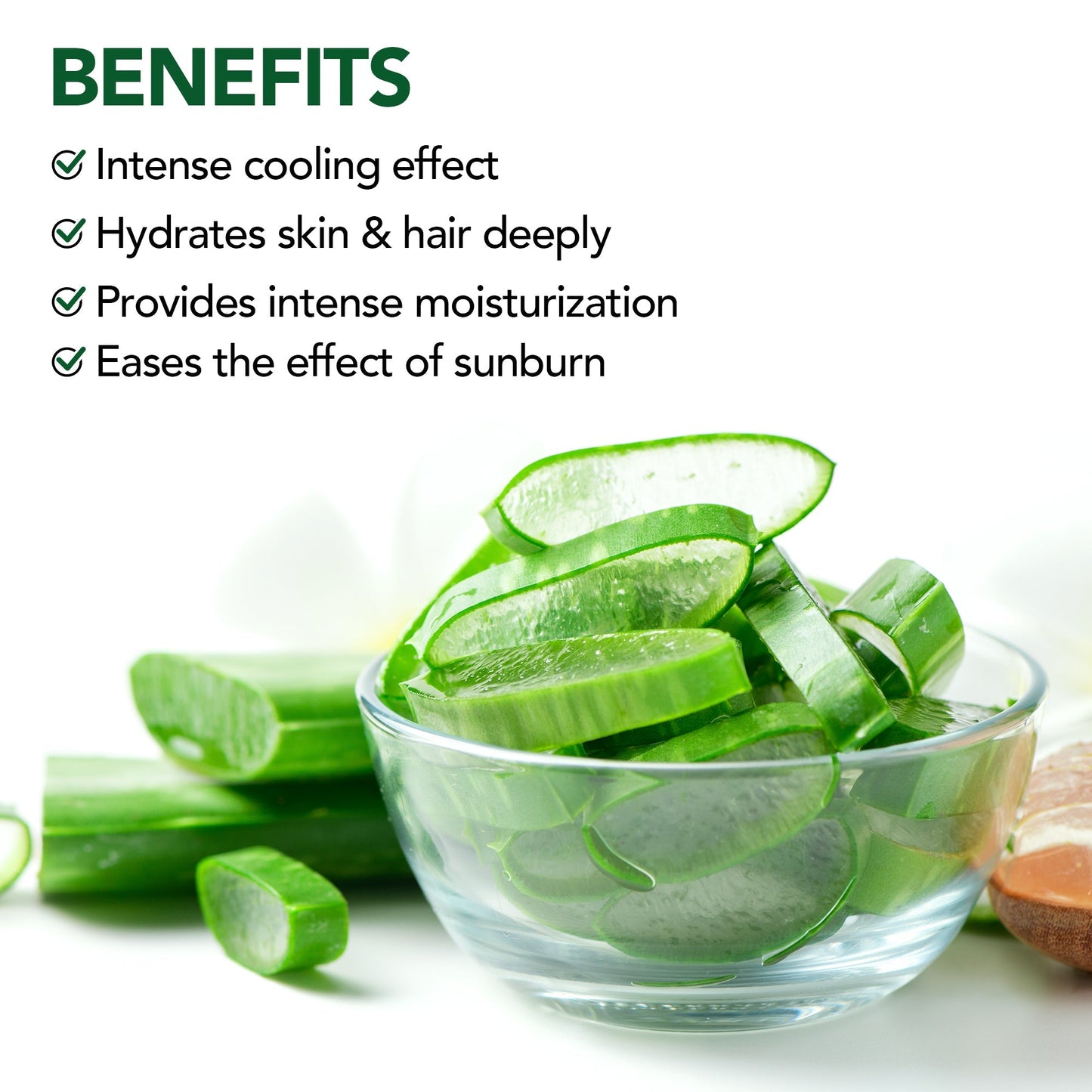 https://cdn.shopify.com/s/files/1/1857/6931/files/AloeVeraGelListingBanner_2000x2000_03.jpg?v=1770890424
