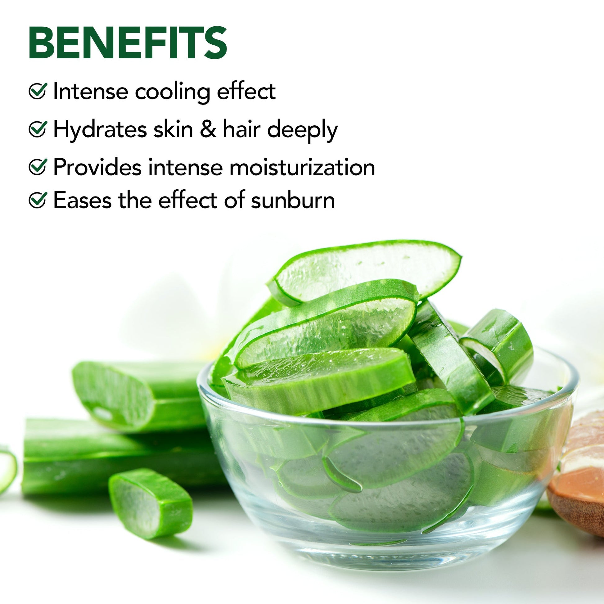 https://cdn.shopify.com/s/files/1/1857/6931/files/AloeVeraGelListingBanner_2000x2000_03.jpg?v=1770890424
