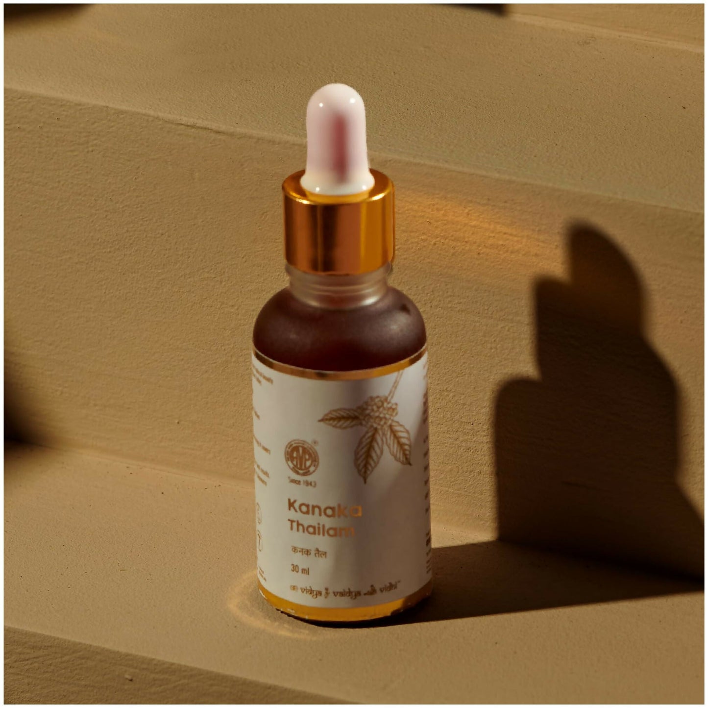 https://cdn.shopify.com/s/files/1/1857/6931/files/AmMJD5B8wV.jpg?v=1746099757