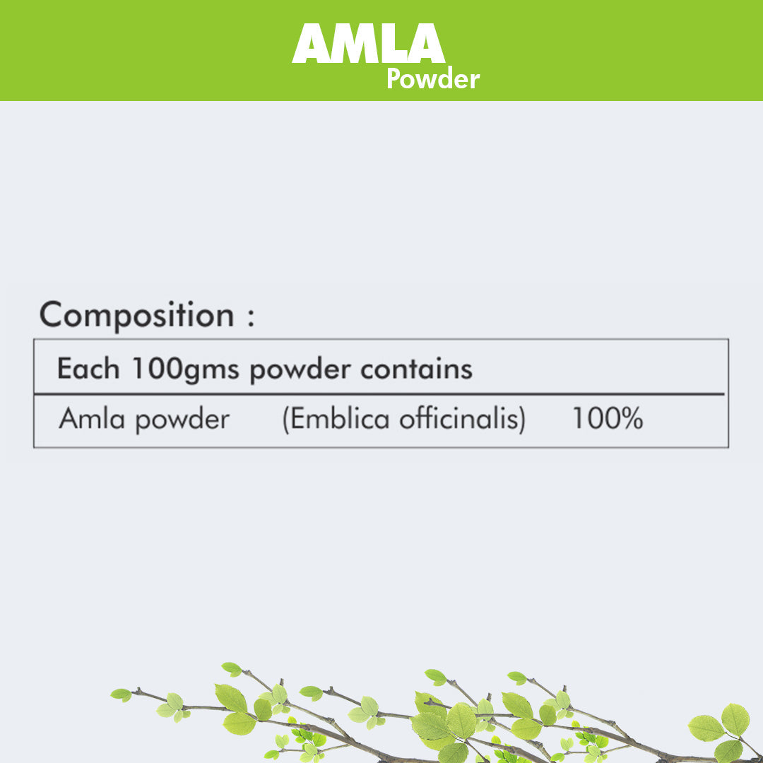 https://cdn.shopify.com/s/files/1/1857/6931/files/AmlaPowder-100gms.jpg?v=1760080629