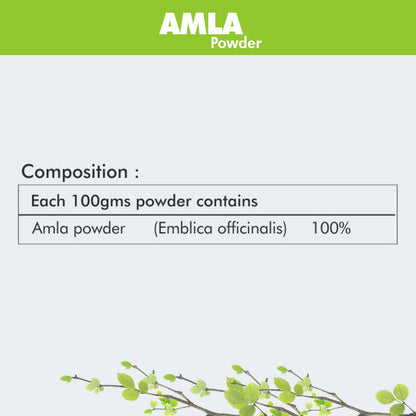 https://cdn.shopify.com/s/files/1/1857/6931/files/AmlaPowder-100gms.jpg?v=1760080629