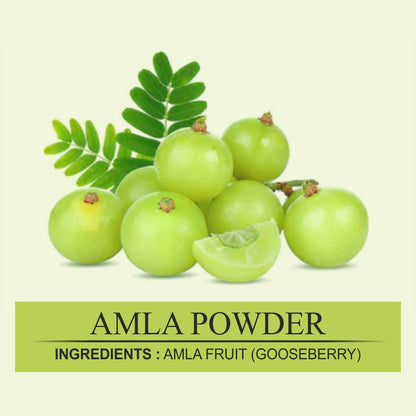 https://cdn.shopify.com/s/files/1/1857/6931/files/AmlaPowder5.jpg?v=1765546745